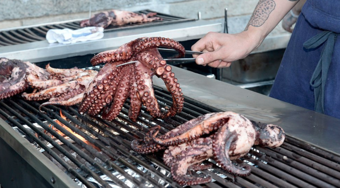 Mexican organized-crime groups have branched out into octopus theft