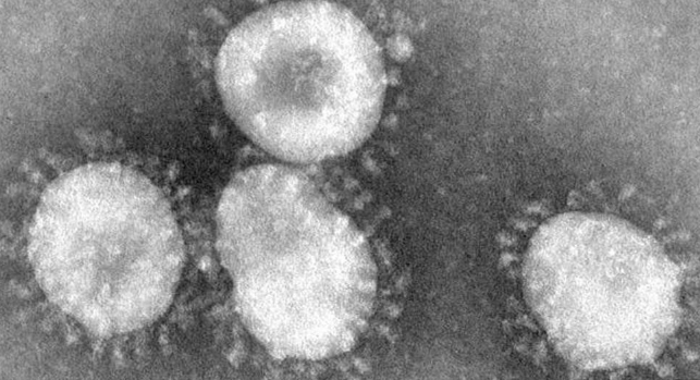 Boca Raton law firm sues Chinese government over handling of coronavirus